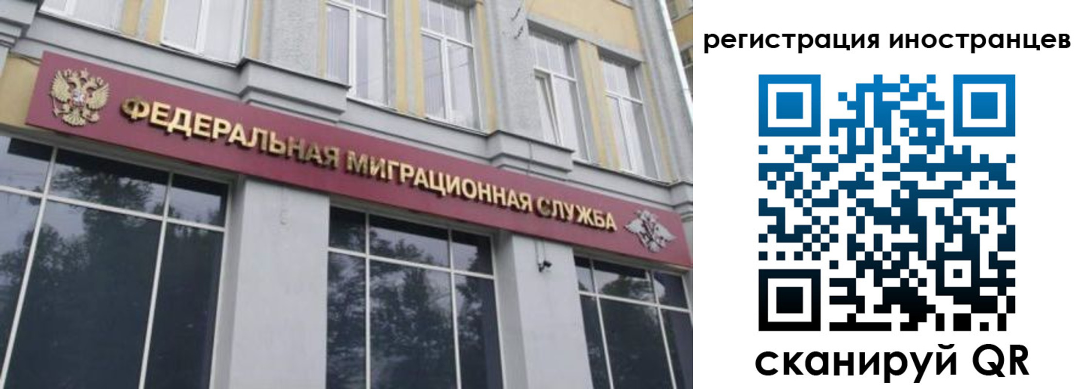 пропишу в квартире в Ельне